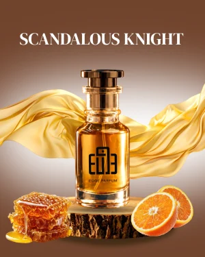 Scandalous Knight
