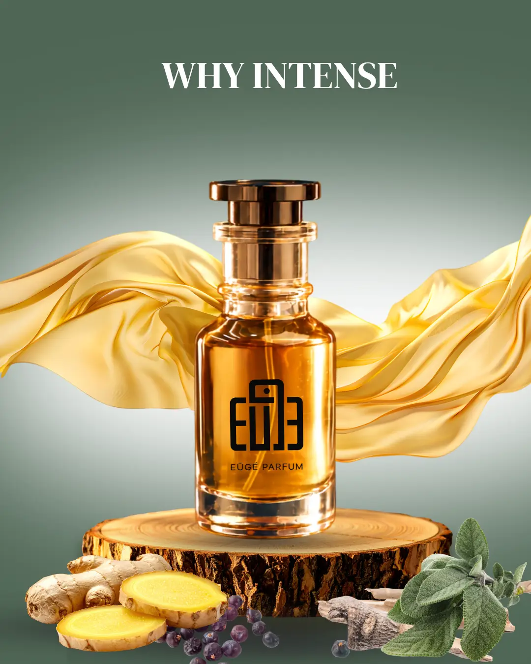 Why Intense by Euge